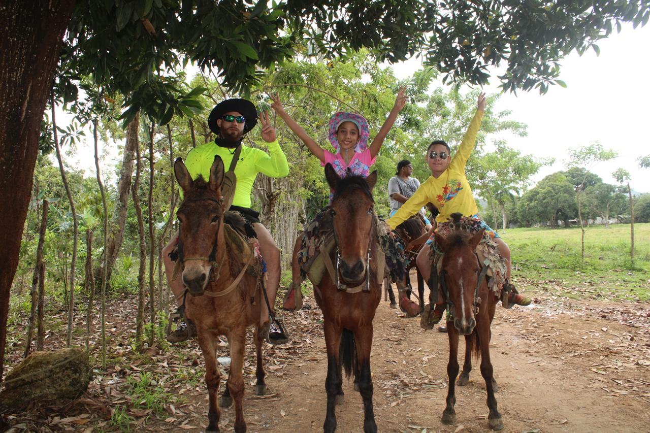 Beach Horseback Riding