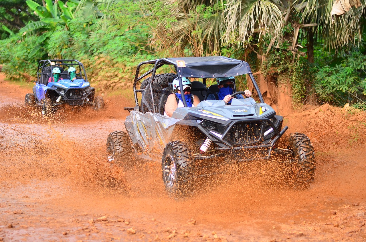 Jungle Buggy Ride