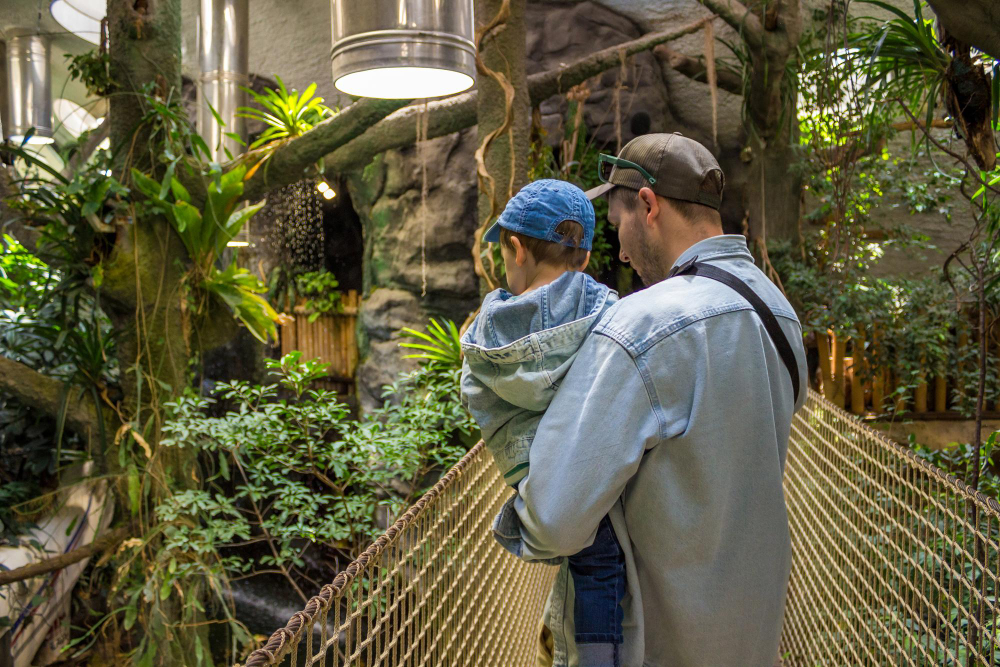 National Botanical Garden